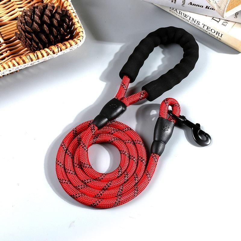 Guia Premium Antiderrapante para Cães – Segurança e Conforto no Passeio