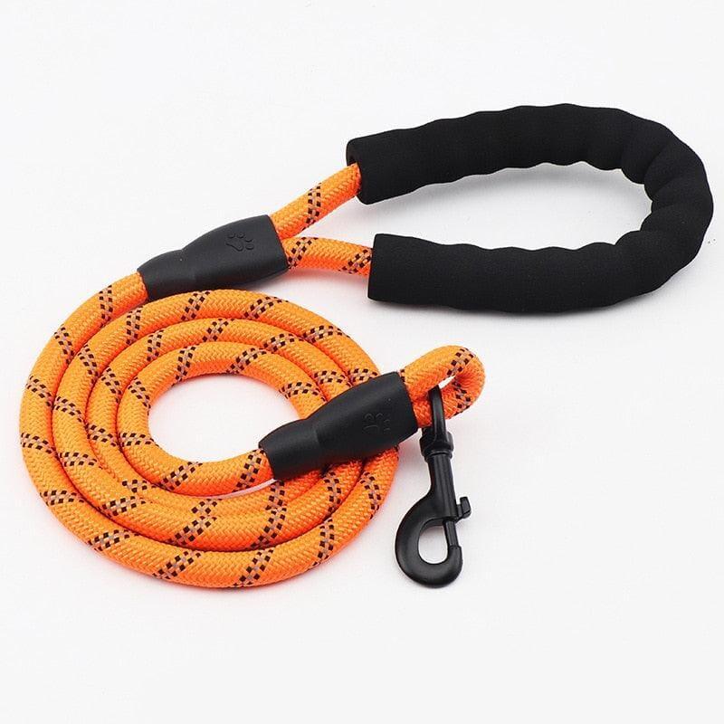 Guia Premium Antiderrapante para Cães – Segurança e Conforto no Passeio