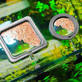 Quadrado e Anel de Alimentação para Aquário de Peixes