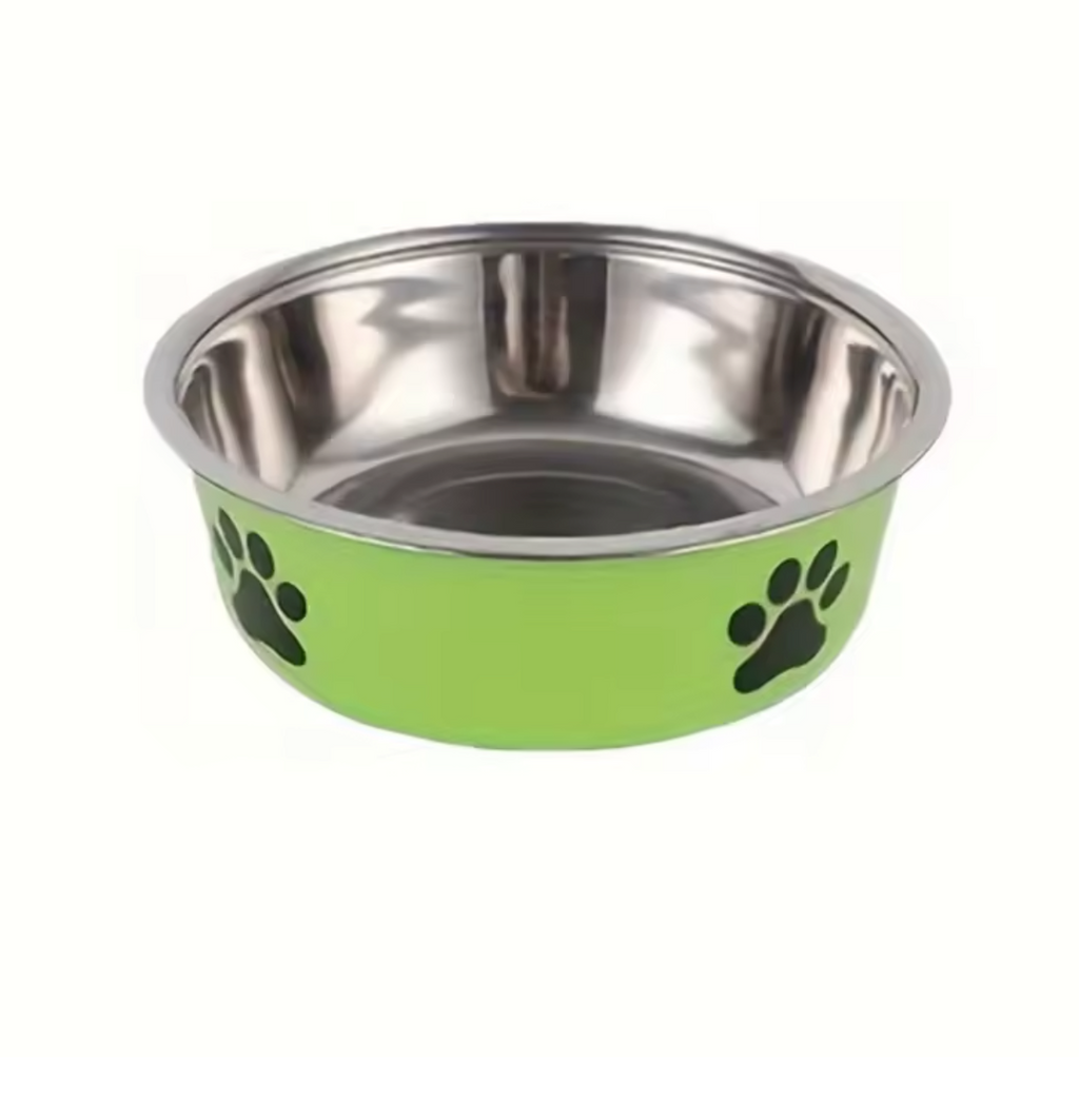 Gato curioso próximo à tigela antiderrapante para pets com base estável