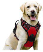 Peitoral para cachorro ajustável em cor vibrante com controle anti puxão