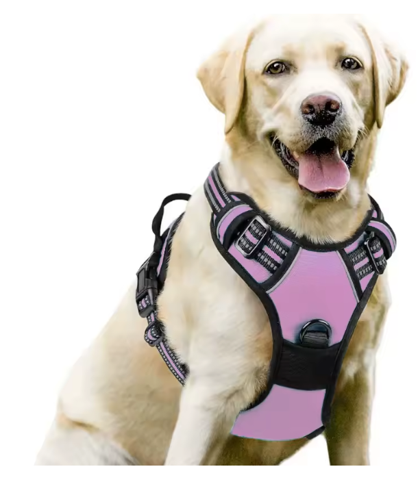 Detalhe da costura reforçada do peitoral para cachorro com conforto garantido