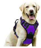 Peitoral para cachorro com sistema anti puxão e ajuste personalizado para conforto