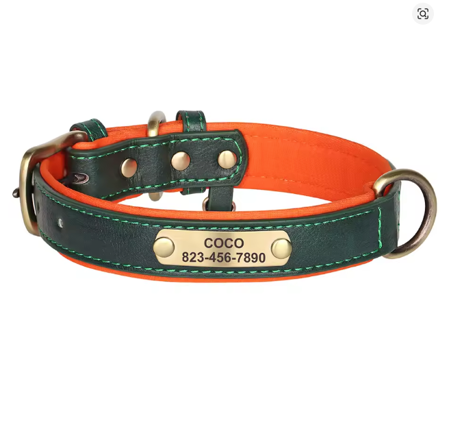 Embalagem da coleira personalizada para cachorro com informações do produto Madrupet