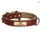 Coleira personalizada para cachorro com identificação e design ergonômico para conforto