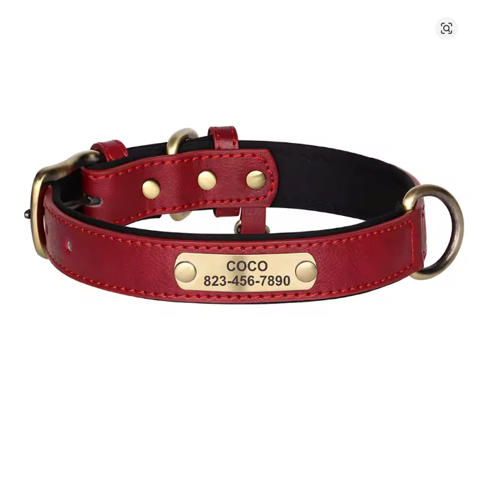 Coleira personalizada para cachorro com identificação visível e acabamento de alta qualidade