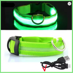 Coleira led para pets em diferentes tamanhos exibidas lado a lado para comparação