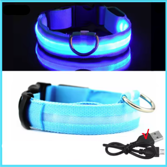 Cachorro pequeno com coleira led para pets vermelha iluminada em ambiente urbano