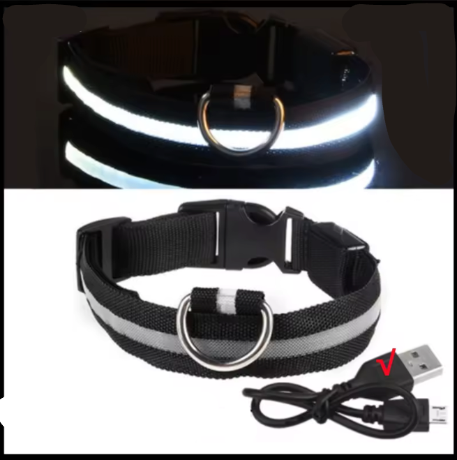 Gato usando coleira luminosa para gato com luzes led para segurança à noite