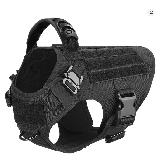 Cão ativo com peitoral tático militar para cachorro em trilha ao ar livre