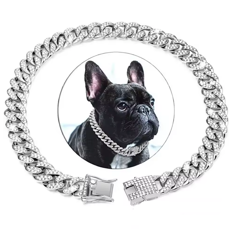 Colar pet estilo cubano com design moderno exibido sobre fundo branco