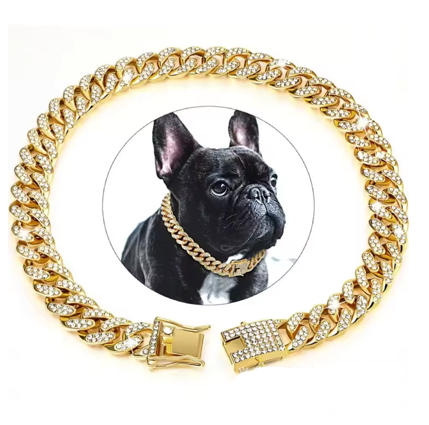 Embalagem do colar pet estilo cubano Madrupet destacando qualidade e estilo