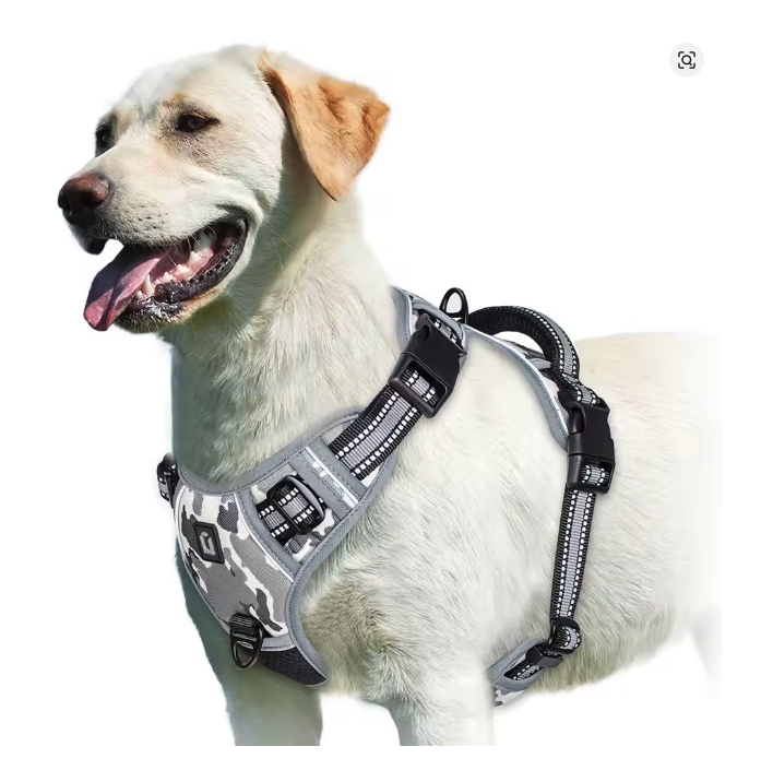 Cachorro feliz usando peitoral anti puxão com dupla argola em parque durante o dia