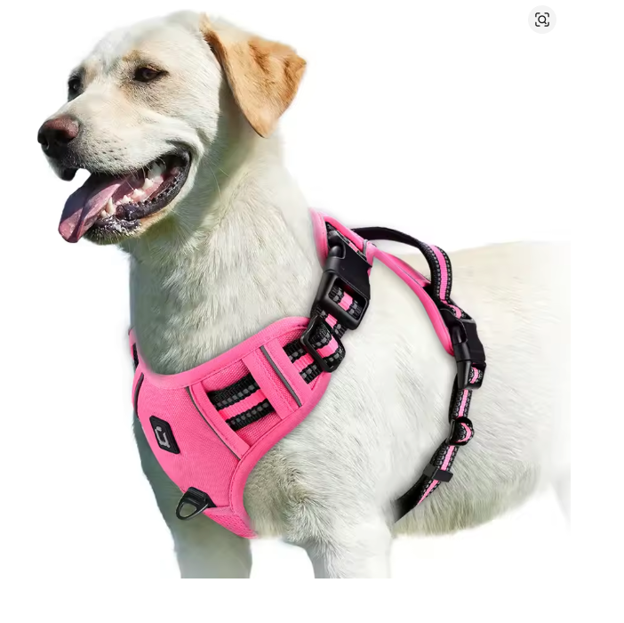 Peitoral anti puxão para cachorro com dupla argola e faixa refletiva, ideal para passeios seguros
