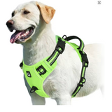Verde Fluorescente