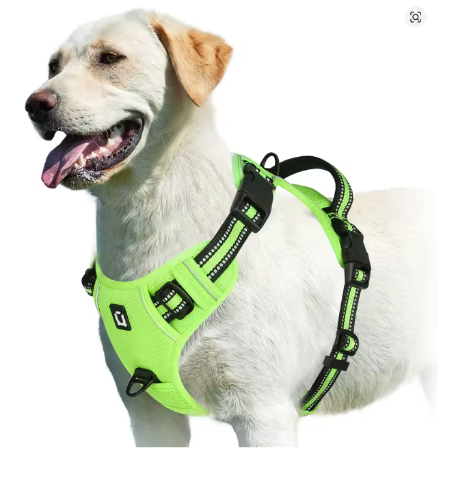 Detalhe das argolas duplas do peitoral anti puxão para cachorro em close-up