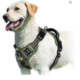 Verde Militar