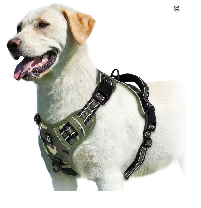 Cachorro em passeio urbano usando peitoral anti puxão com dupla argola e faixa refletiva