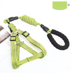 Conjunto passeio cachorro com peitoral e guia ajustável, ideal para cães de todos os tamanhos