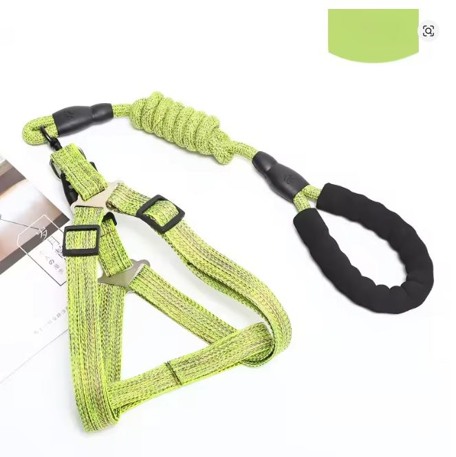 Conjunto passeio cachorro com peitoral e guia ajustável, ideal para cães de todos os tamanhos