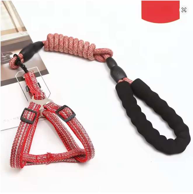 Peitoral para cachorro com alças ajustáveis e guia combinando para passeio seguro