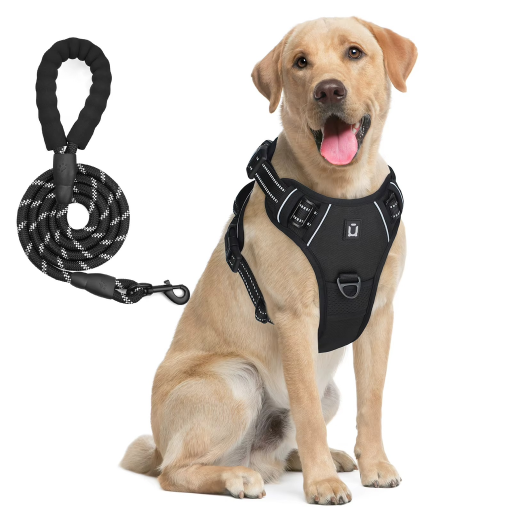 Peitoral Anti Puxão para Cachorro com Dupla Argola e Faixa Refletiva