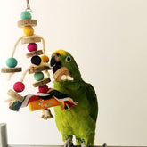 Brinquedo para Papagaio Pêndulo