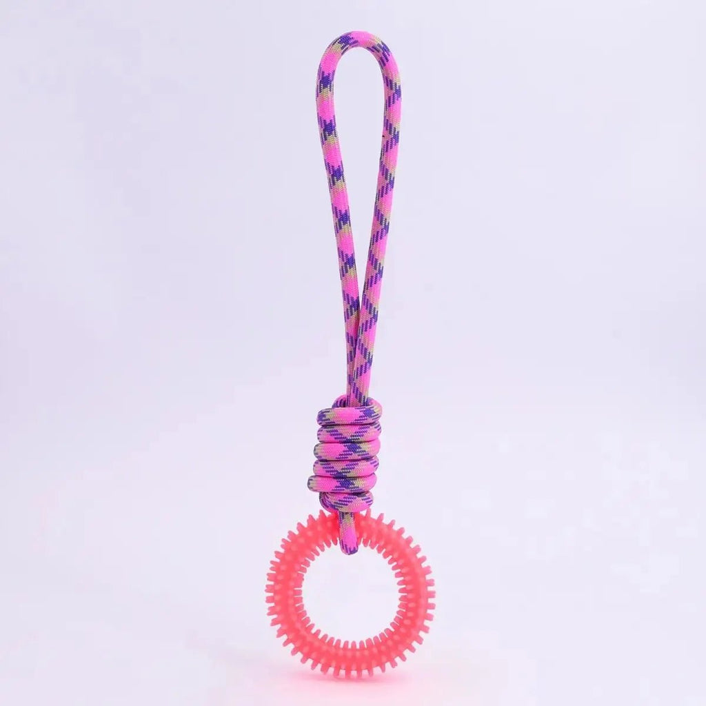 Conjunto de brinquedos anel dental para cães em diferentes tamanhos e cores vibrantes