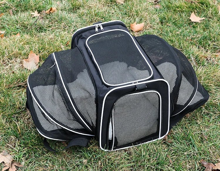 Bolsa de transporte para pets pequenos Madrupet exibida com acessórios para conforto do pet