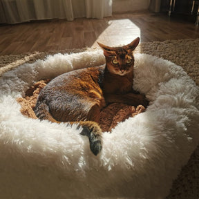 Cama Nuvem para Cães e Gatos – Super Macia, Aconchegante e Antiestresse