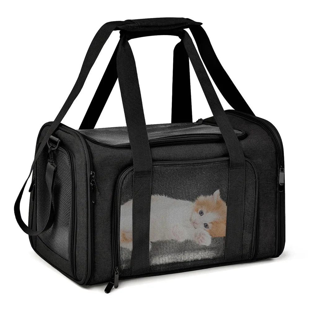Madrupet bolsa de transporte para pets pequenos exibida em ambiente externo com alça acolchoada