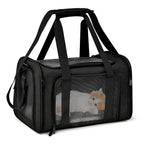 Madrupet bolsa de transporte para pets pequenos exibida em ambiente externo com alça acolchoada