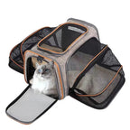 Bolsa de transporte para pets pequenos em ambiente externo, ideal para passeios e viagens