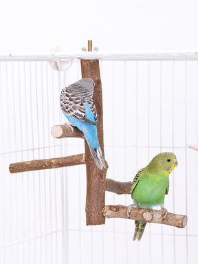 Poleiro Natural Premium
