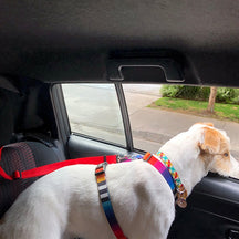 Cinto de Segurança Ajustável para Pets – Proteção em Viagens de Carro