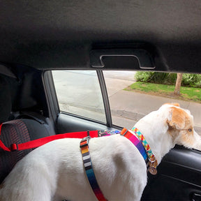 Cinto de Segurança Ajustável para Pets – Proteção em Viagens de Carro