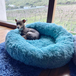 Cama Nuvem para Cães e Gatos – Super Macia, Aconchegante e Antiestresse