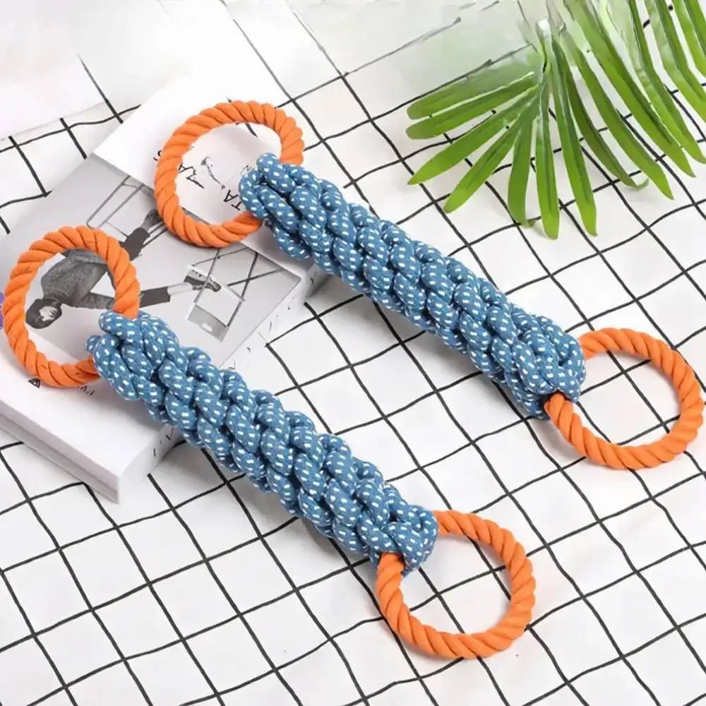 Cão de porte médio usando brinquedo interativo Madrupet para aliviar ansiedade e gastar energia