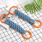 Cão de porte médio usando brinquedo interativo Madrupet para aliviar ansiedade e gastar energia