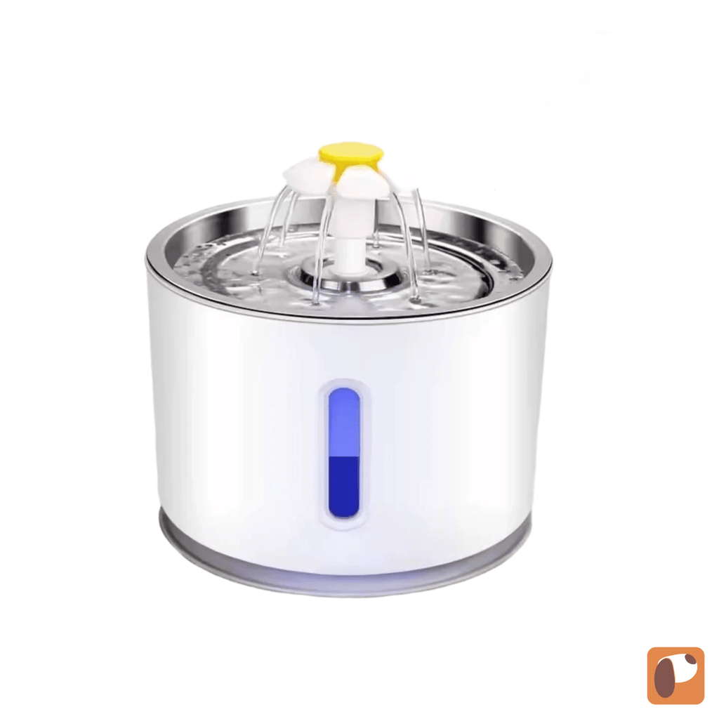 Fonte de água com filtro para pets garantindo hidratação saudável e água fresca para cães e gatos