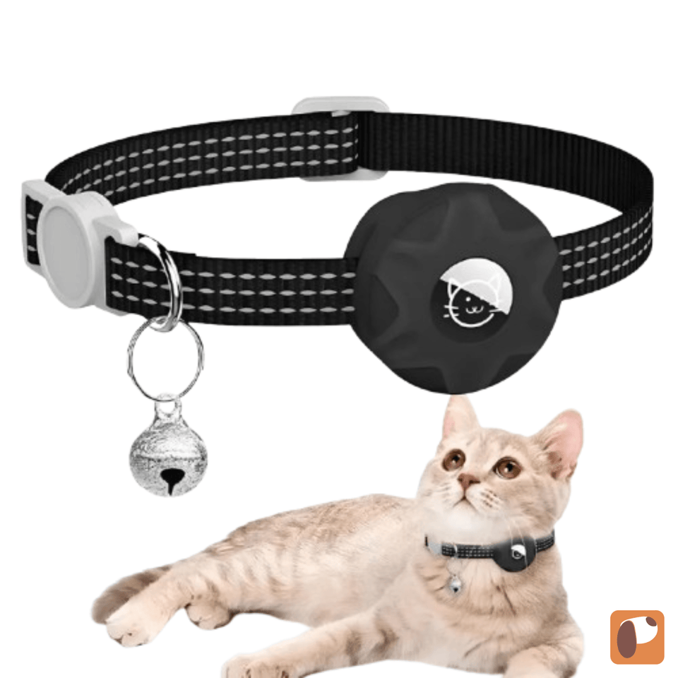 Coleira para gatos com compartimento para GPS garantindo conforto e segurança ao felino