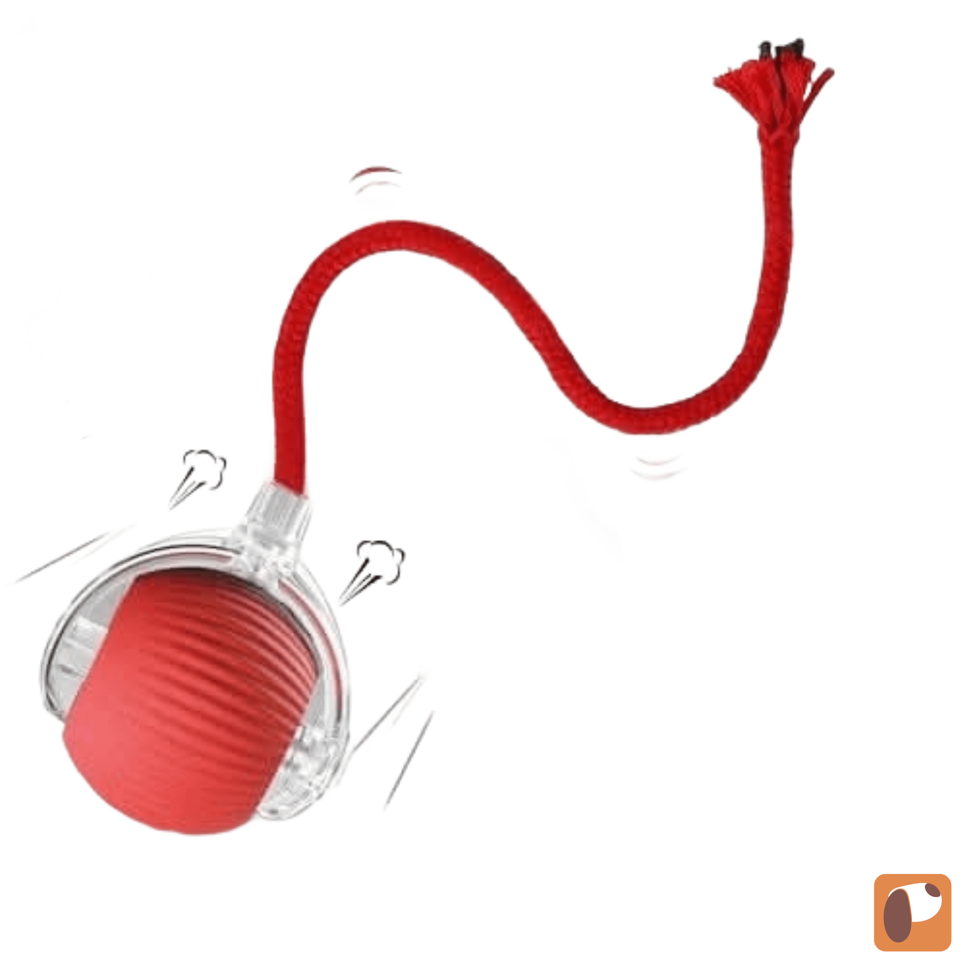 Gato brincando com bolinha interativa que gira sozinha estimulando o movimento