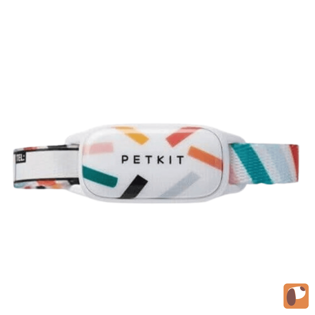 Coleira com Gps para Gatos — Localização em Tempo Real e Segurança