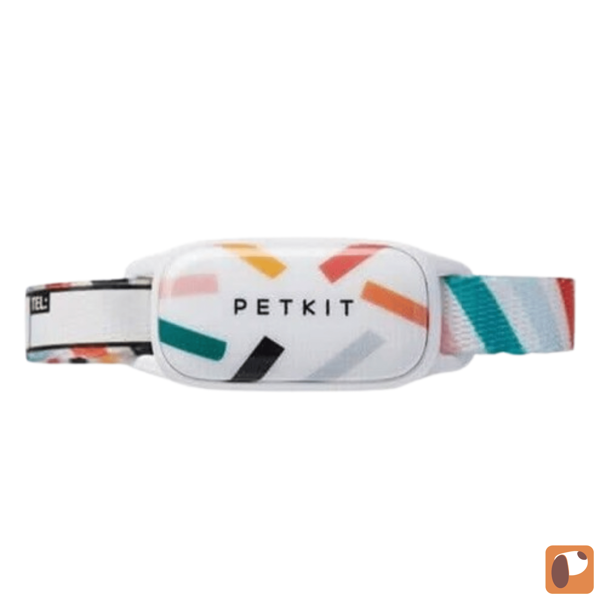 Coleira com Gps para Gatos — Localização em Tempo Real e Segurança