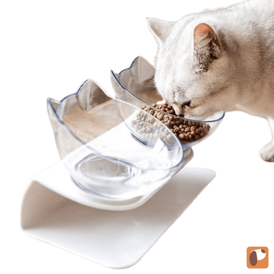 Comedouro e bebedouro elevado para pets com suporte antiderrapante e design ergonômico