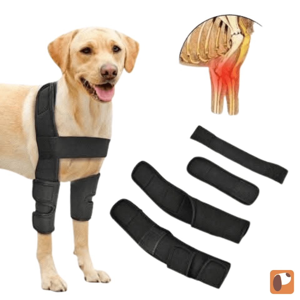 Cotoveleira ortopédica para cães com suporte reforçado para estabilidade articular e conforto