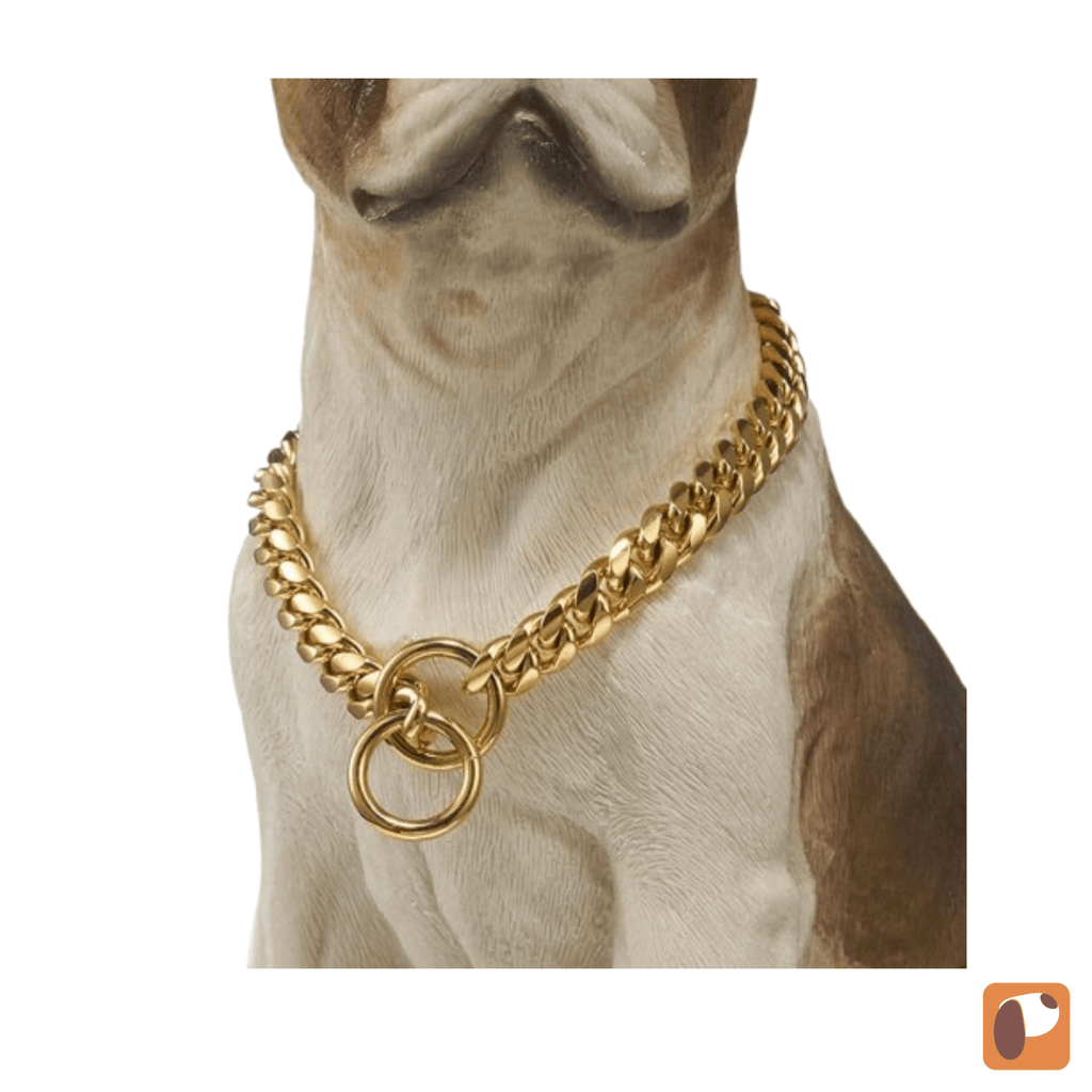 Coleira para cães Guardião Dourado com design resistente em aço inox para segurança no passeio
