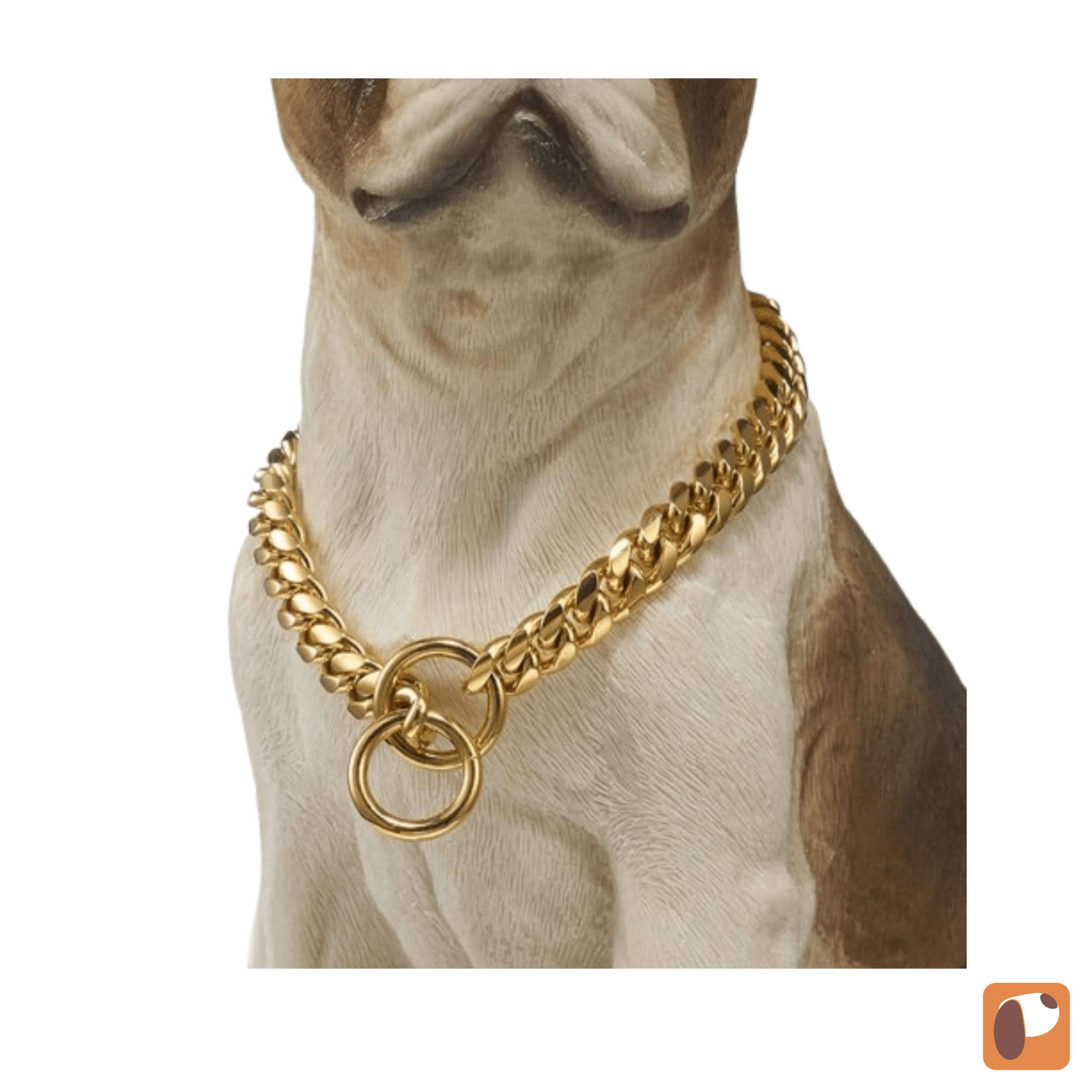 Coleira para cães Guardião Dourado com design resistente em aço inox para segurança no passeio