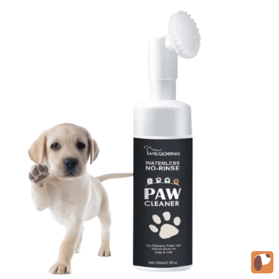 Limpa Patas de Pet sem Sujeira para higiene rápida após passeios, acessório prático para cães