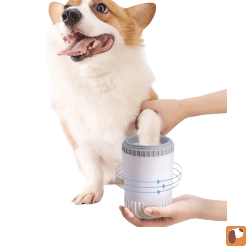 Lava Patas Semi-Automático para pets facilitando a limpeza das patas após passeios